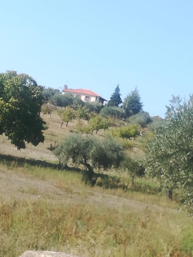 Casa Das Argolas Macedo de Cavaleiros Eksteriør billede